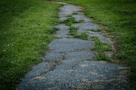 Stone walkway in the park with green grass and tree background.
