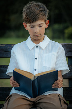 Portrait of a boy reading a book on a bench in the parkの写真素材