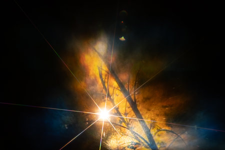 abstract background with sparks and rays of light. Colorful fireworksの写真素材