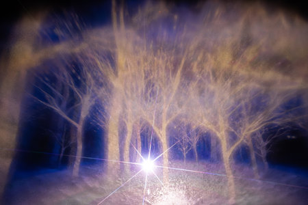 abstract image of a night city, lights and silhouettes of trees