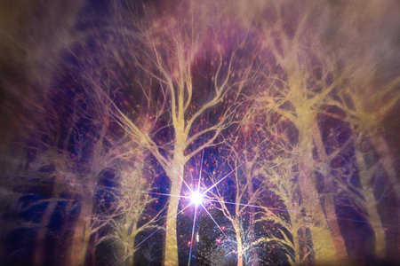 fireworks in the night forest, close-up of the photoの写真素材