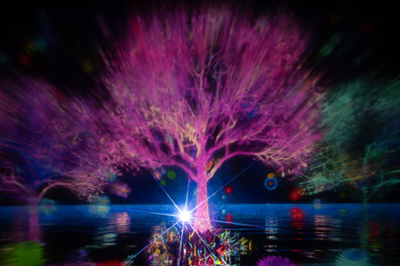 colorful fireworks in the night sky and the silhouette of a treeの写真素材