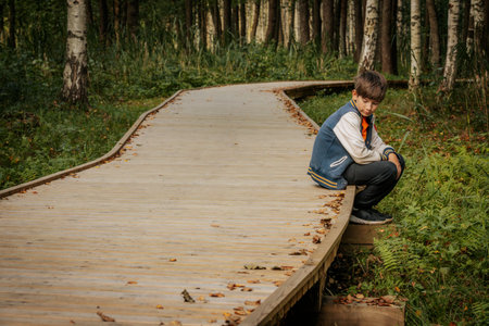 The boy on the wooden bridge in the autumn forest. The boy is sitting on the bridge.の写真素材