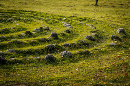 Rows of stones on a green meadow in the early morningの写真素材