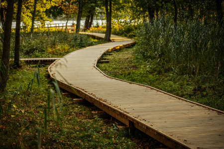 Wooden walkway in the park in autumn, perspective view.の写真素材