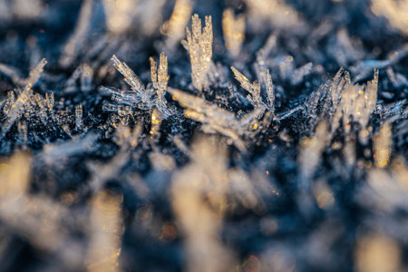 Ice crystals on the frozen grass in the early morning. Winter backgroundの写真素材