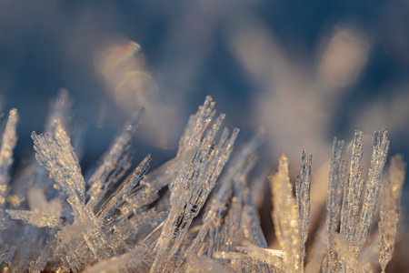 Close up of frost on a grass in the winter. Shallow depth of field