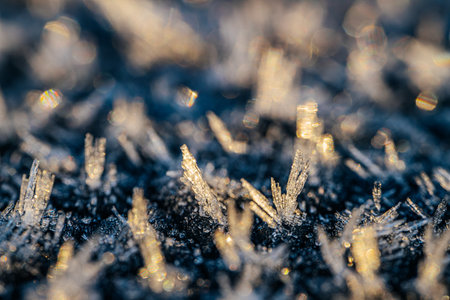 Frosty natural background. Close up of ice crystals on the ground.の写真素材