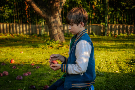 A boy in a blue jacket and a white T-shirt is picking apples in an orchard.の写真素材