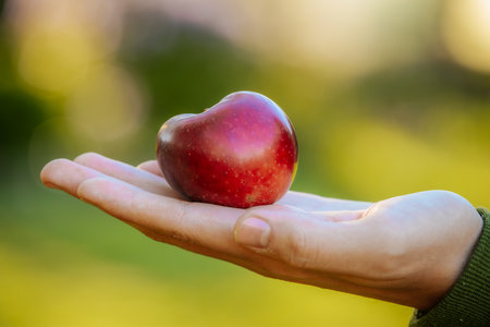 Red apple in the hand of a woman on a blurred background.の写真素材