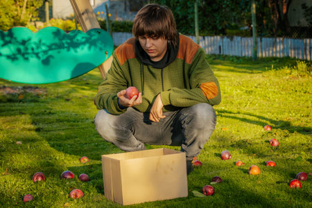 A young man in a green sweater and jeans sits on the grass with a box of red apples.の写真素材