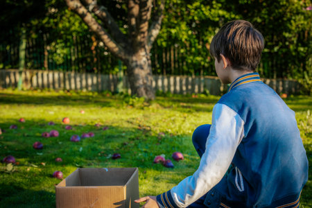 Little boy playing in the garden with an apple box. Selective focus.の写真素材