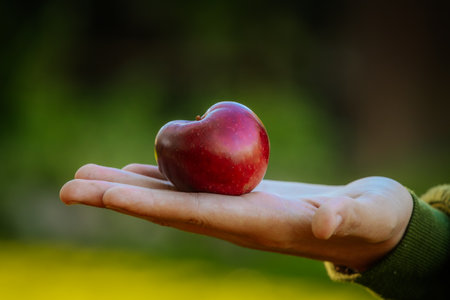 Red apple in the hand of a child. Selective focus.の写真素材