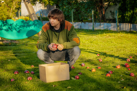 A young man is sitting on the grass and picking apples from a boxの写真素材