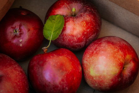 Fresh organic red apples in a cardboard box, close-up.の写真素材
