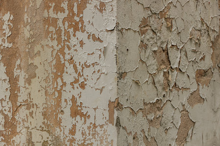 Old wall with peeling paint. Abstract background and texture for design.の写真素材