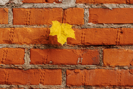 Yellow maple leaf on an old brick wall. Autumn background. Selective focus.の写真素材