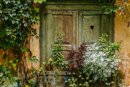 Wooden door with flowers on the background of ivy and plantsの写真素材