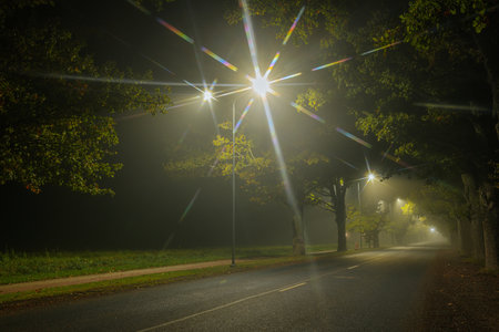 Road in the park at night with sunbeams and fog.の写真素材