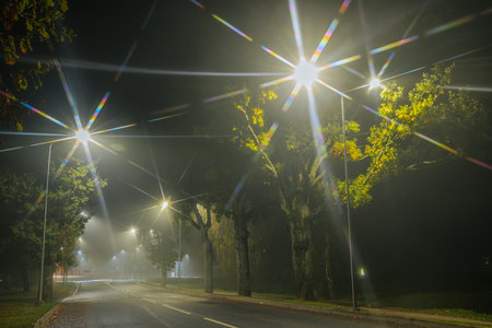 Foggy street at night with lights and trees in the foregroundの写真素材