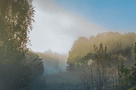 Morning fog in the forest. Beautiful autumn landscape in the morning.の写真素材