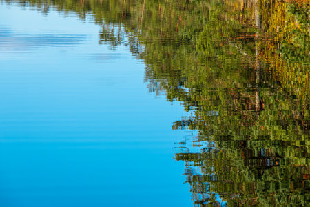 Reflection of trees in the water. Reflection of trees in the water.の写真素材