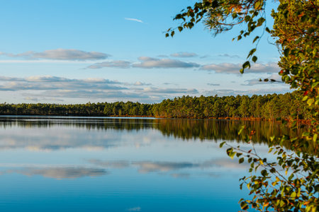 Landscape view of a beautiful lake in the forest on a sunny dayの写真素材