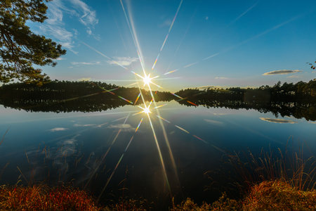 Sunrise over the lake in the forest. The sun is reflected in the water.の写真素材