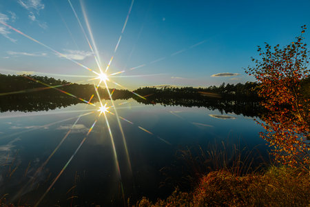 Sunset over the lake in the forest. The sun is reflected in the water.の写真素材