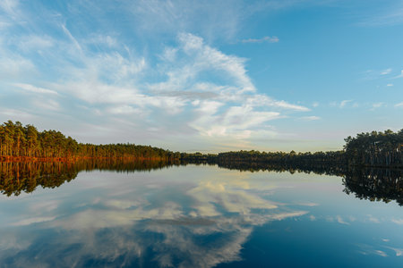 Reflection of the sky and clouds in the water of the Evergladesの写真素材