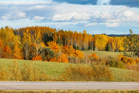 Autumn landscape with a road and colorful trees on a sunny dayの写真素材