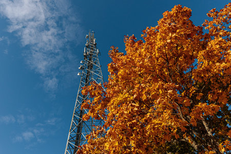 Telecommunication tower with blue sky and yellow maple leaves in autumn.の写真素材
