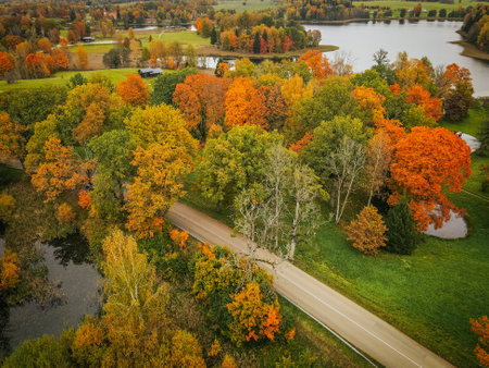 Aerial view of autumn forest with road and lake. Top viewの写真素材