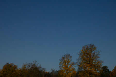 Night sky with stars and trees in the foreground. Autumn landscape.の写真素材