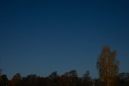 Night sky with the moon and stars and trees in the foreground.の写真素材