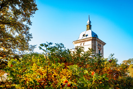 Beautiful autumn landscape in the city park with colorful trees and blue skyの写真素材