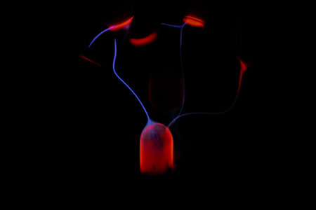 3D Illustration of Human Urinary System Kidneys with Bladder Anatomyの写真素材