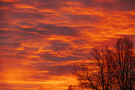 Beautiful orange sunset with clouds and silhouettes of trees in the foregroundの写真素材