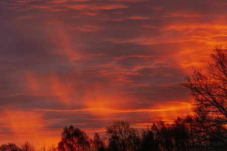 Beautiful sunset over the forest. Red sky with clouds at sunset.の写真素材