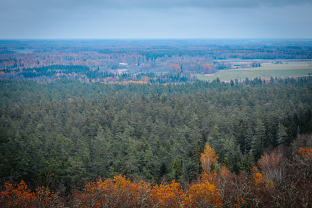 autumn landscape with colorful forest and cloudy sky. latvia.の写真素材
