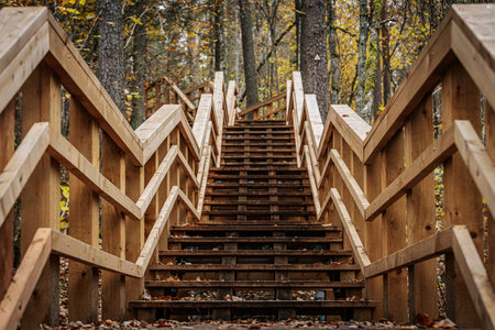 Wooden stairs in autumn forest. Wooden stairs in autumn forest.の写真素材