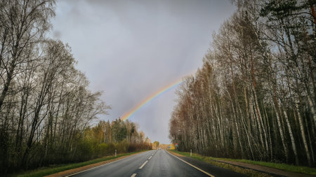 Rainbow over the highway in the autumn forest. Panorama.の写真素材