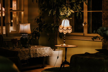 Interior of a cozy room with vintage furniture and green plants.の写真素材