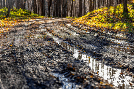 autumn road in the forest with mud and reflections in the waterの写真素材