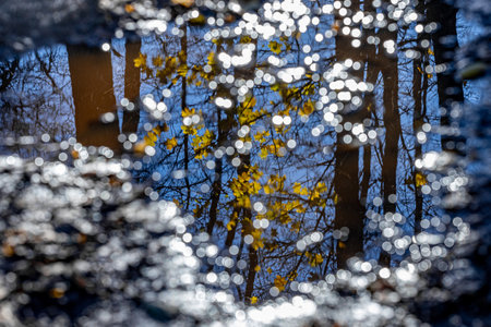 reflection of autumn trees in the water, abstract background. selective focusの写真素材