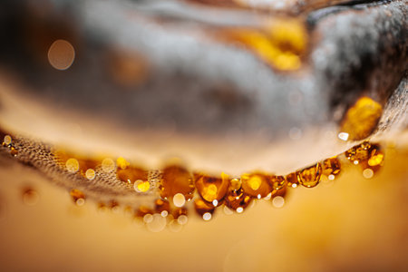 Bubbles of beer in a glass close-up macro photographyの写真素材