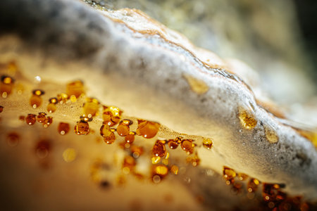 Close-up of amber beads on a rock. Macro shot.の写真素材