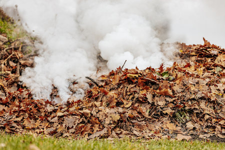 Fallen leaves on the grass and smoke from the chimney.の写真素材