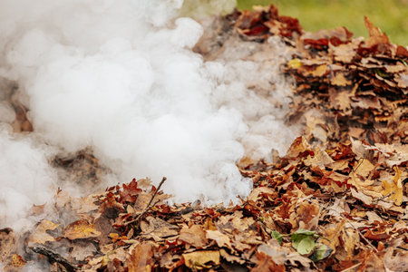 Smoke from the chimney in the autumn forest. Close-up.の写真素材