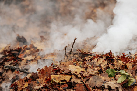 Smoke from the chimney in the autumn forest. Close-up.の写真素材